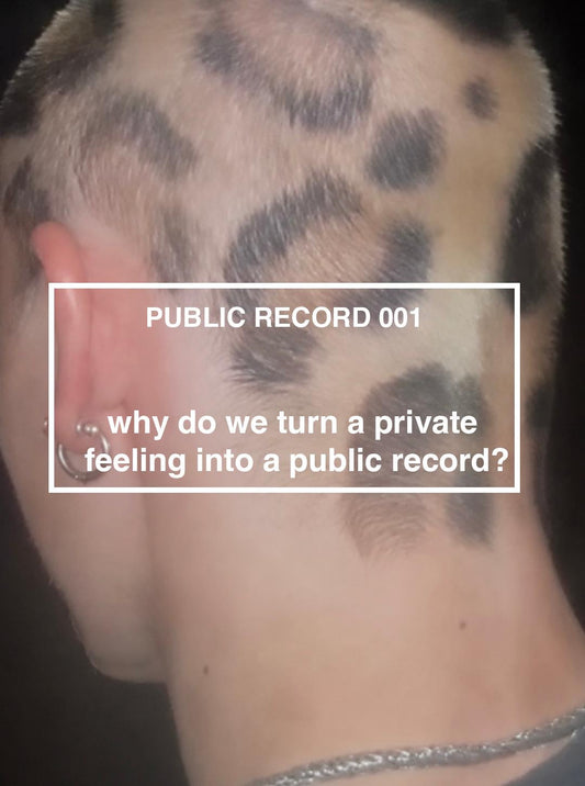 PUBLIC RECORD 001